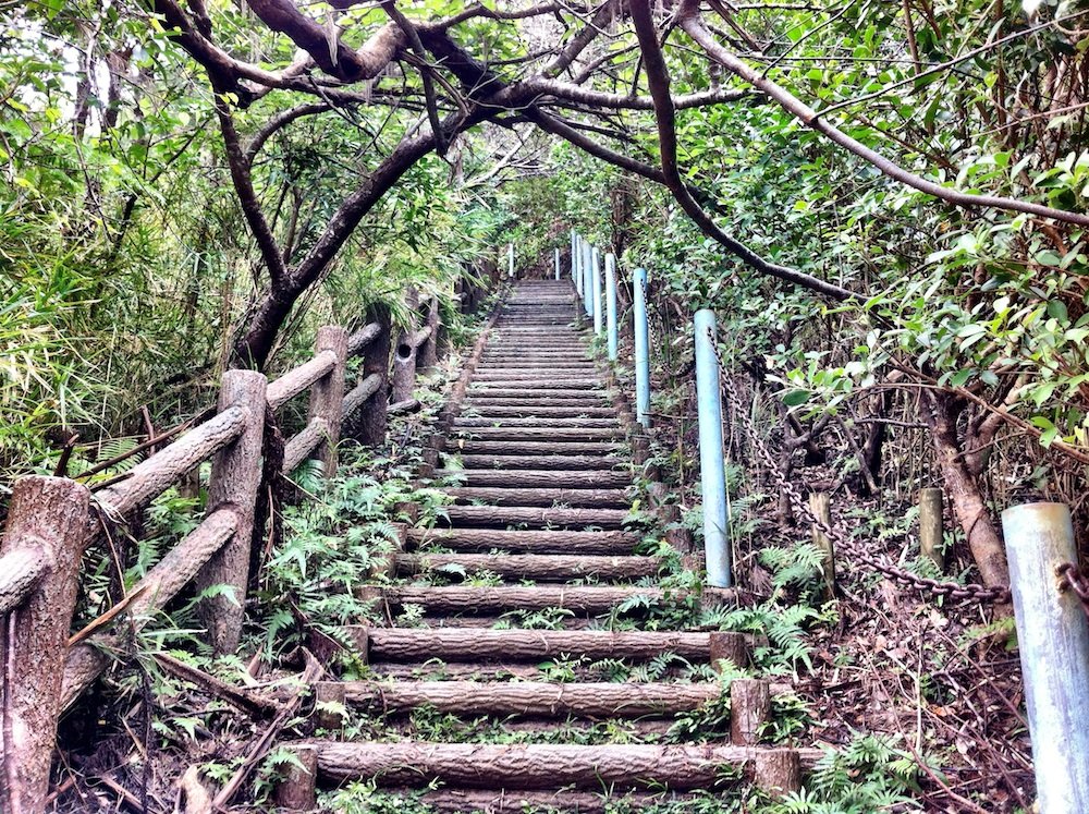 🏞️ 이시카와 고원 전망대(이시카와 코겐 텐보우다이) 이미지 8
